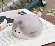 Load image into Gallery viewer, Mochi Cat Squishy (color at Random)