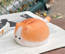 Load image into Gallery viewer, Mochi Cat Squishy (color at Random)