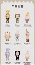 Load image into Gallery viewer, Preorder Sooya Blind box series 2