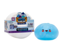Load image into Gallery viewer, Rms® Crazy Fun® Mystery Dumpling Polar Bear Edition Blind Box