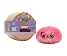 Load image into Gallery viewer, Rms® Crazy Fun® Mystery Dumpling Kitty Edition Blind Box