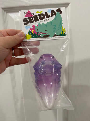 Seedlas x Shoko Nakazawa - color variety