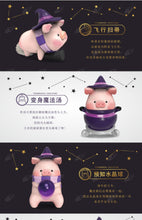 Load image into Gallery viewer, LuLu&#39;s Pig Wizard Blind Box series- Open Box