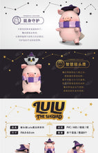 Load image into Gallery viewer, LuLu&#39;s Pig Wizard Blind Box series- Open Box