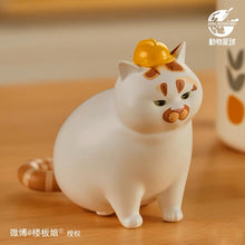 Load image into Gallery viewer, Lou Lou Piggy Cat blind box series 2