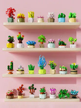Load image into Gallery viewer, Build your own succulent blind boxes series 33% OFF
